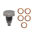 CFR STEEL MAGNETIC DRAIN PLUG W / COPPER WASHER 1/2"-20 RH 5 X HZ-9065 - RAW H4 4X5