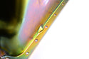 STEEL 1981-87 FORD 351W 5.8L E-F-100-150-250-350 OIL PAN - ZINC